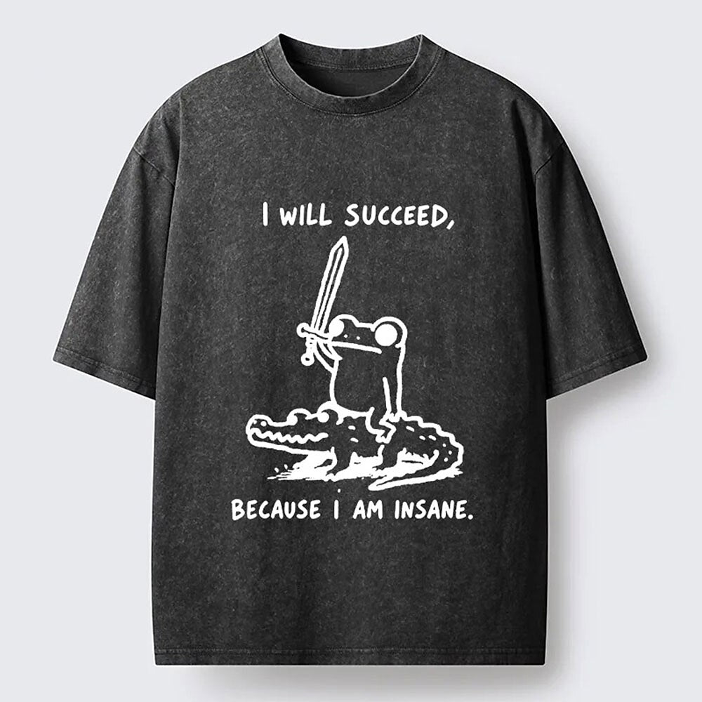 Japanese Style I Will Succeed Graphic Washed T-Shirt