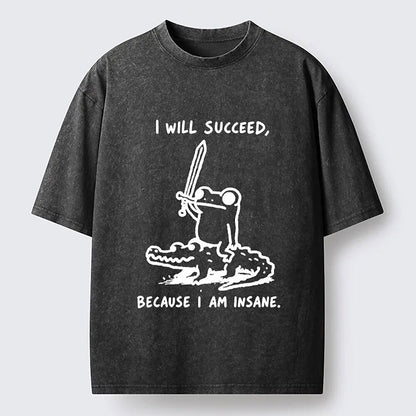 Japanese Style I Will Succeed Graphic Washed T-Shirt