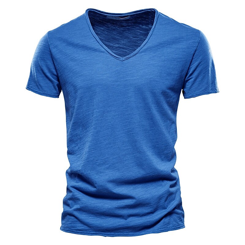 Men's Moisture Wicking V-Neck T-Shirt