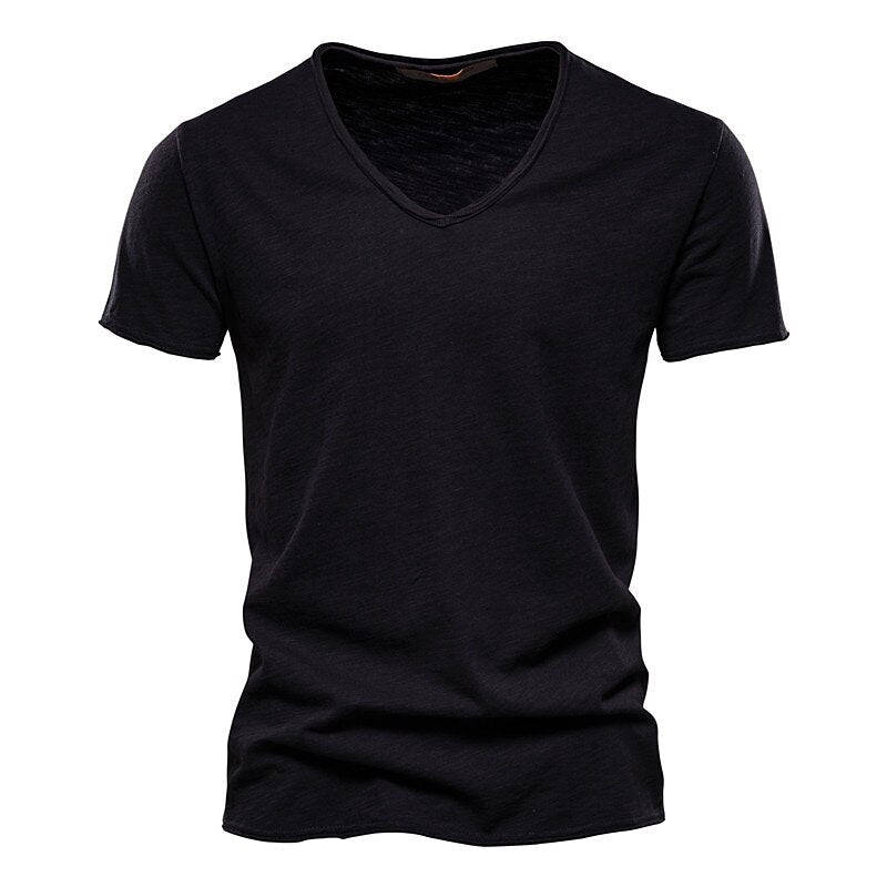 Men's Moisture Wicking V-Neck T-Shirt