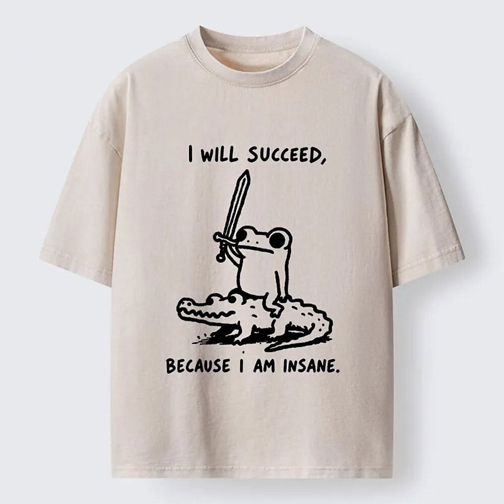 Japanese Style I Will Succeed Graphic Washed T-Shirt