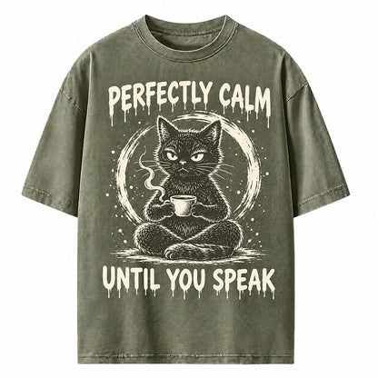 Perfectly Calm Until You Speak Cat Heavyweight T-Shirt