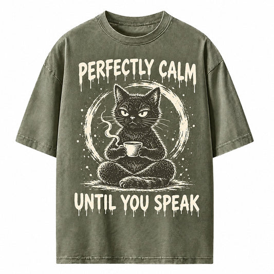Perfectly Calm Until You Speak Cat Heavyweight T-Shirt